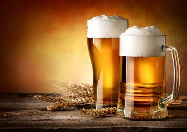 Biertraining