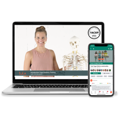 Yoga Anatomie Training (online)